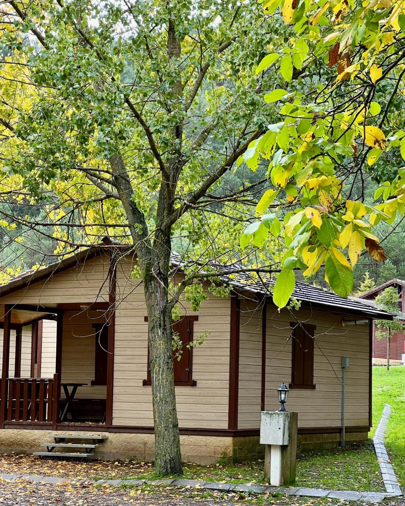 Camping Valle De Hecho Εξωτερικό φωτογραφία
