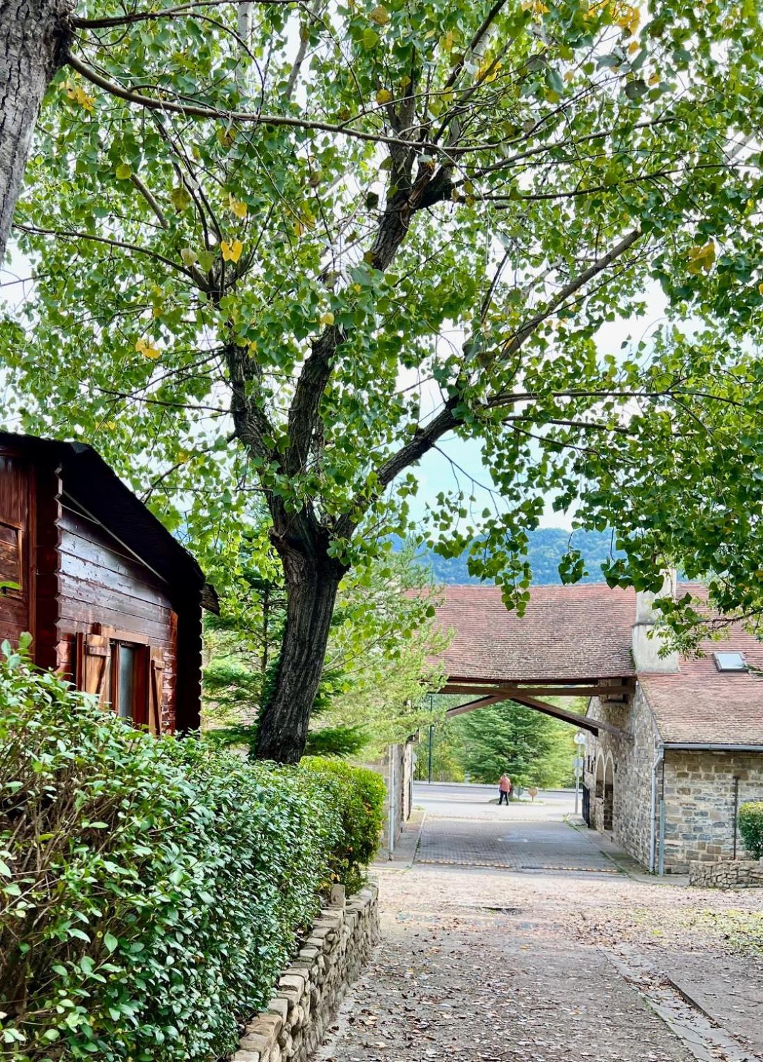 Camping Valle De Hecho Εξωτερικό φωτογραφία
